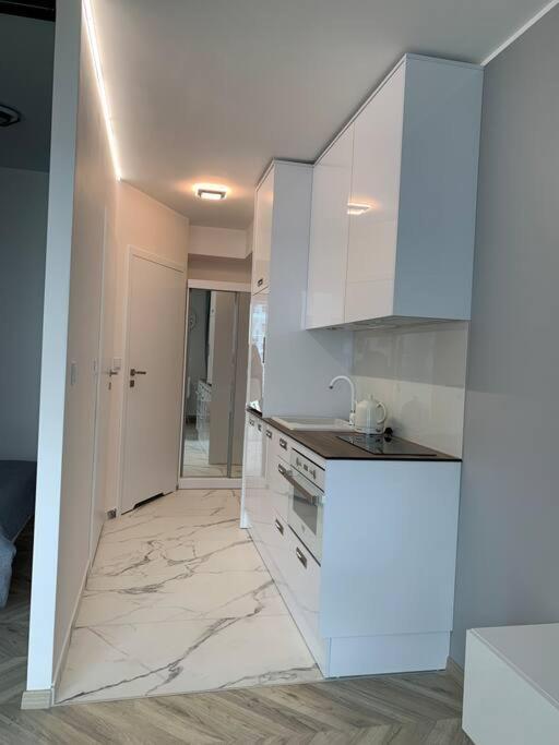 Olin Apartament A -Gdansk Angielska Grobla Экстерьер фото